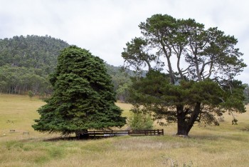 View towards the Cemetery