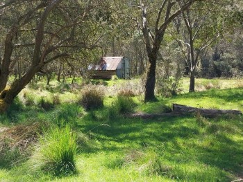 Old hut